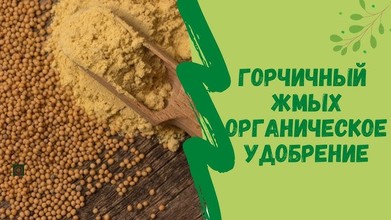 Жмых горчичный 2 л Формула успеха