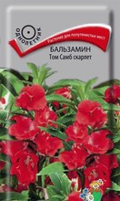 Бальзамин Том Самб скарлет 0,1 г Поиск