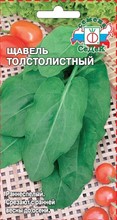 Щавель толстолистный Седек